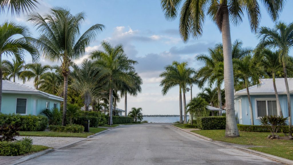 A quiet residential street of low pastel houses running down to open water between rows of royal palms
